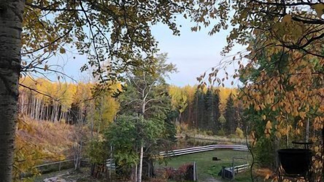 Photo of Outdoor in Parkland County