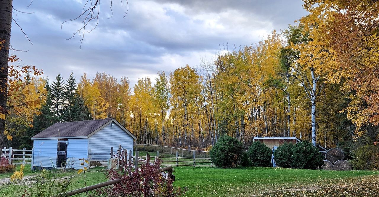 Photo of Outdoor in Parkland County