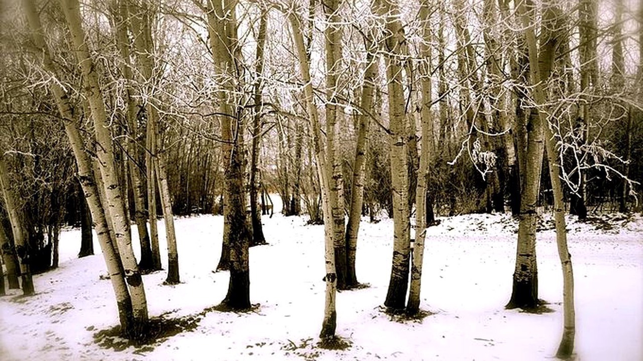 Photo of Others in West Central Saskatchewan