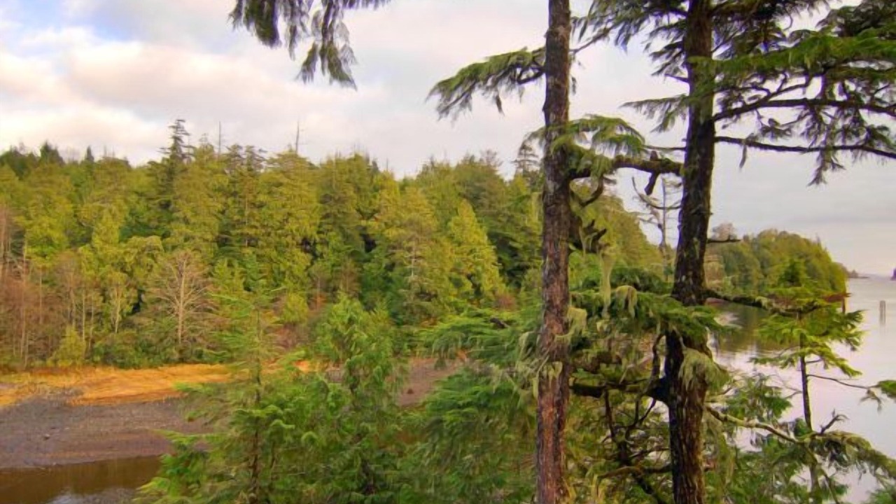Photo of Others in Ucluelet