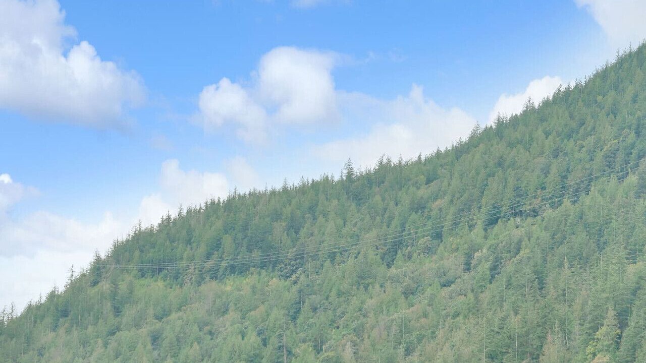 Photo of Others in Harrison Hot Springs