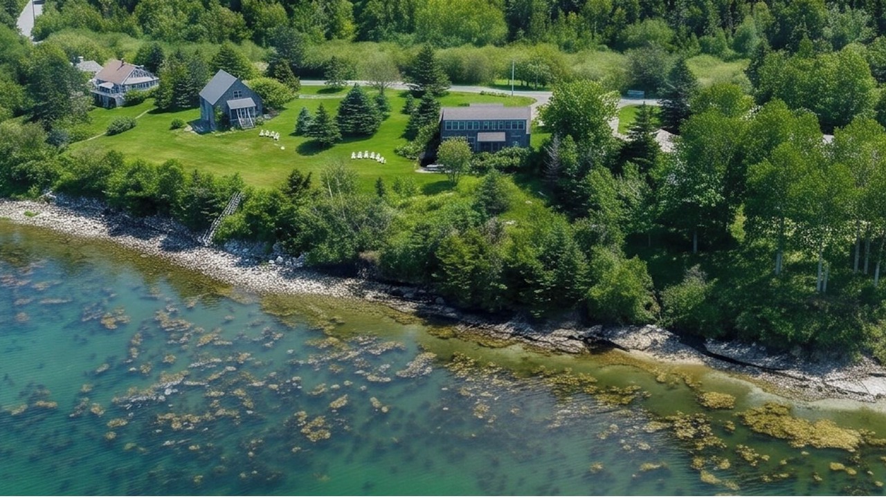 Photo of Outdoor in Bernard