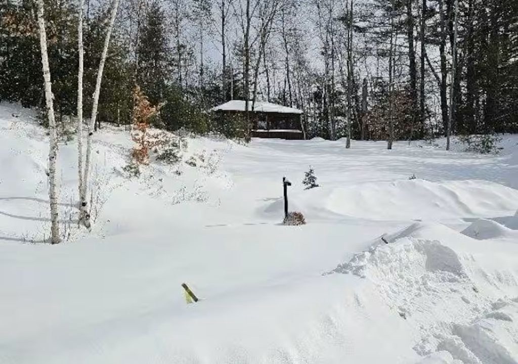 Photo of Others in Woodsville