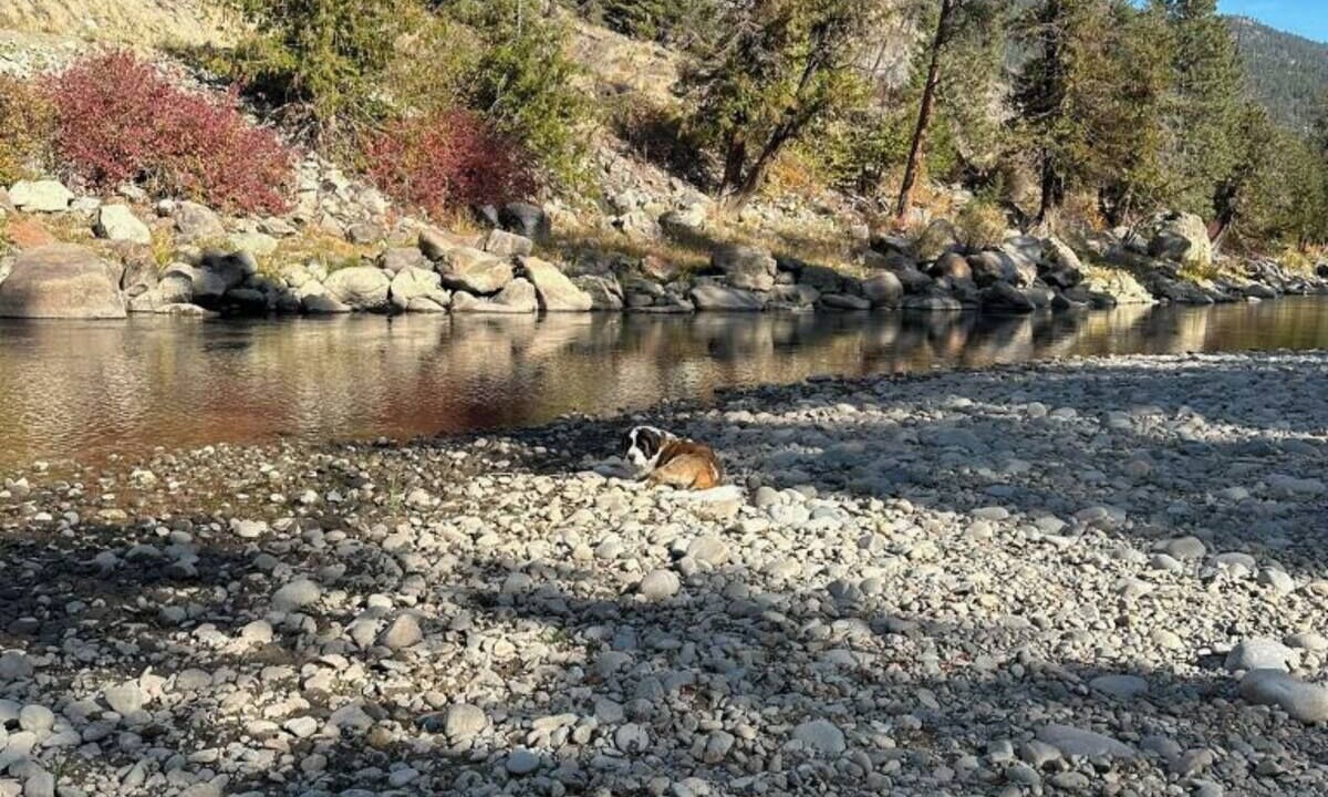 Photo of Others in Okanagan-Similkameen