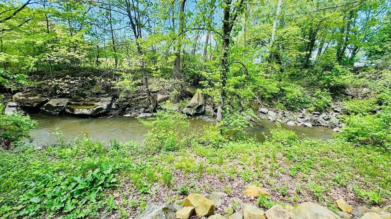 Photo of Others in Avon