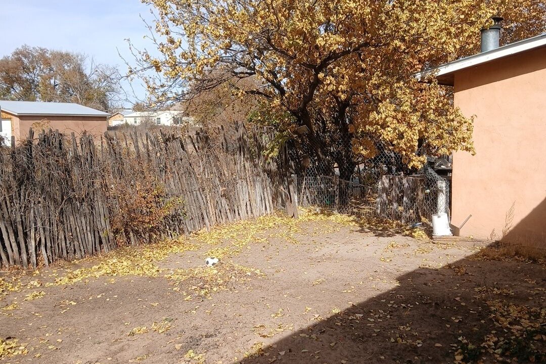 Photo of Outdoor in Medanales