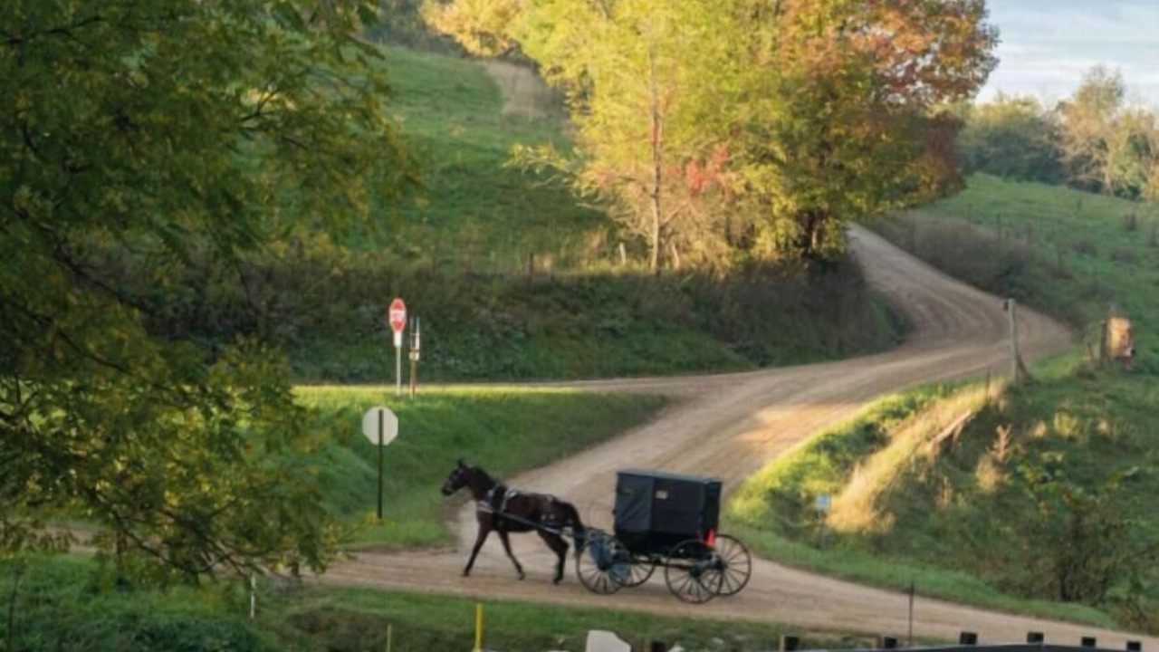 Photo of Others in Homerville