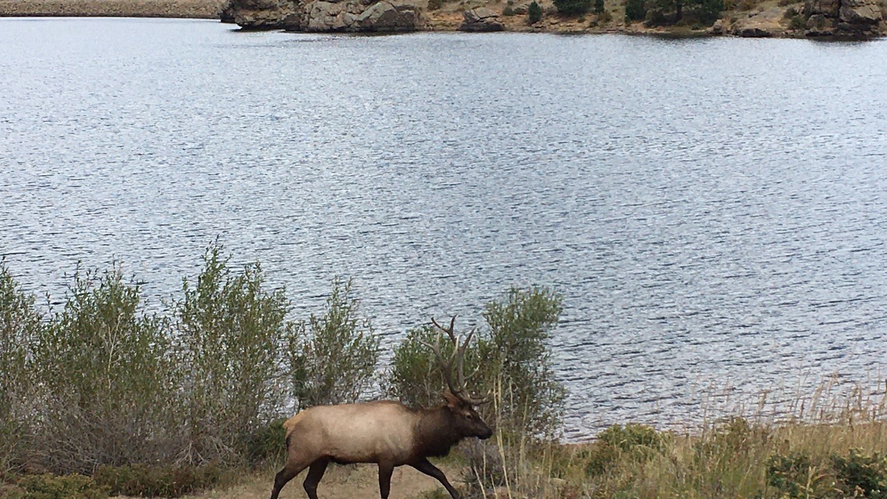 Photo of Outdoor in Estes Park