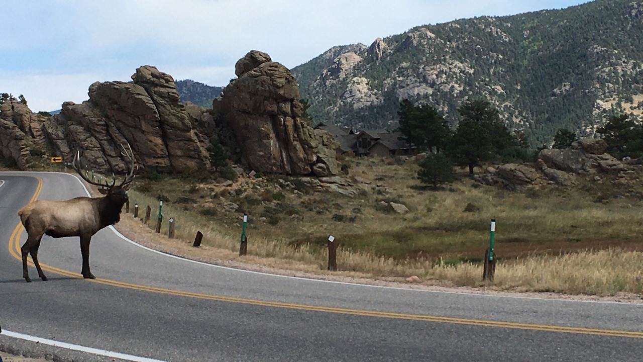 Photo of Others in Estes Park