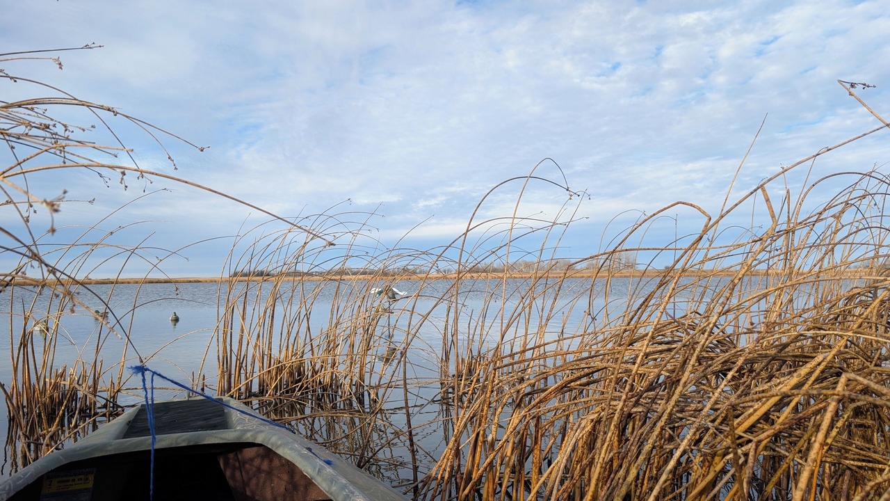 Photo of Others in East Central Saskatchewan