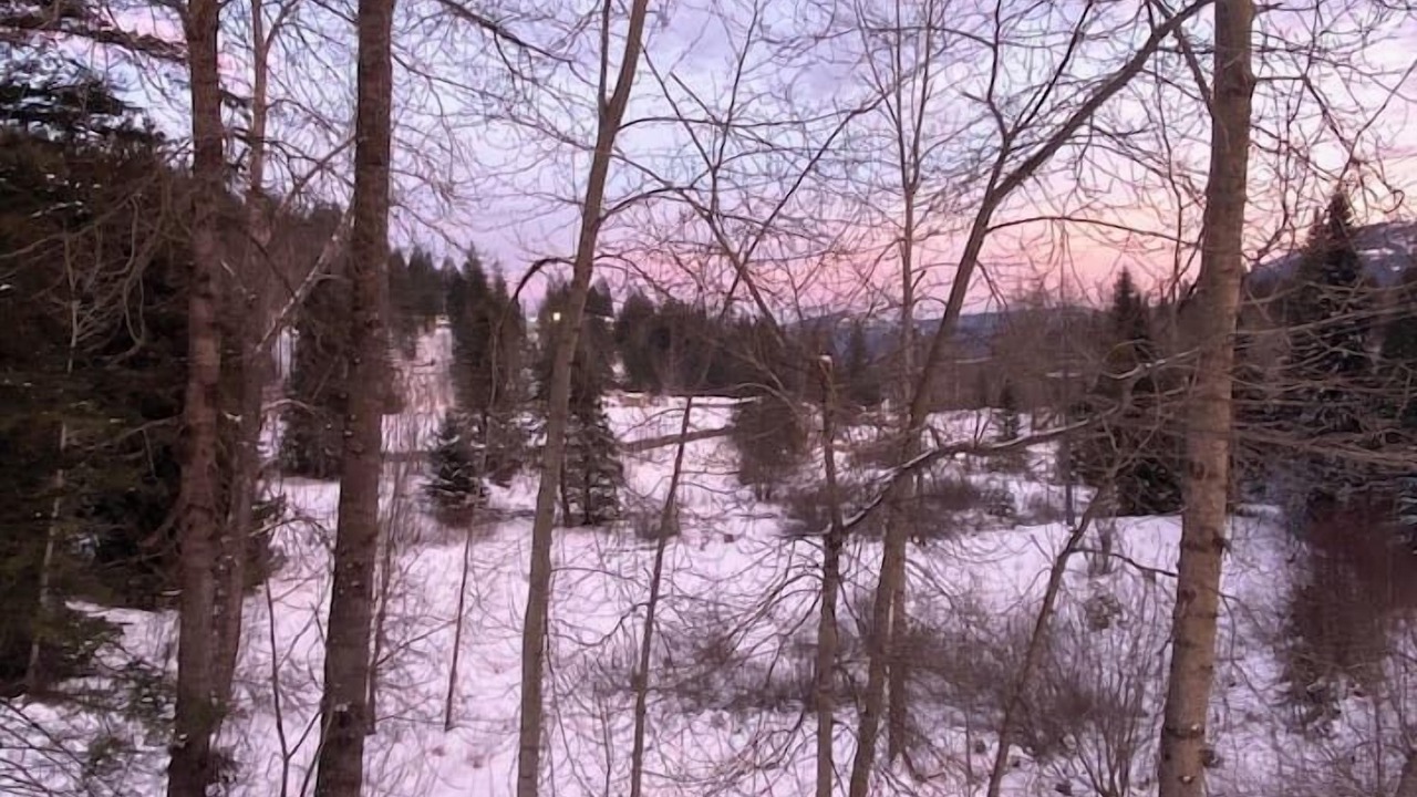 Photo of Others in Rossland
