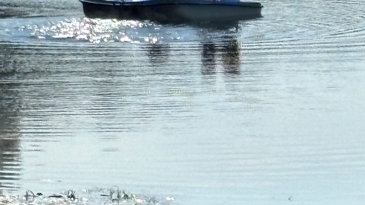 Photo of Others in Clearwater County