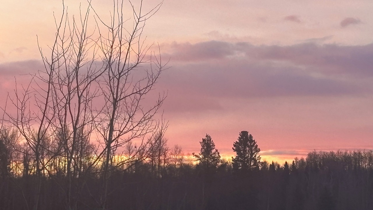 Photo of Others in Clearwater County