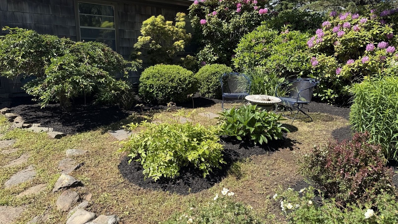 Photo of Outdoor in Port Clyde
