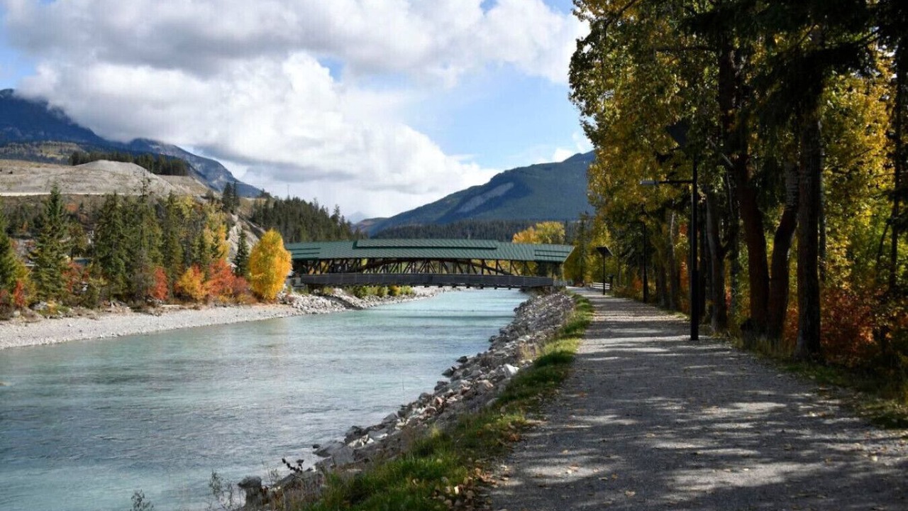 Photo of Others in Golden