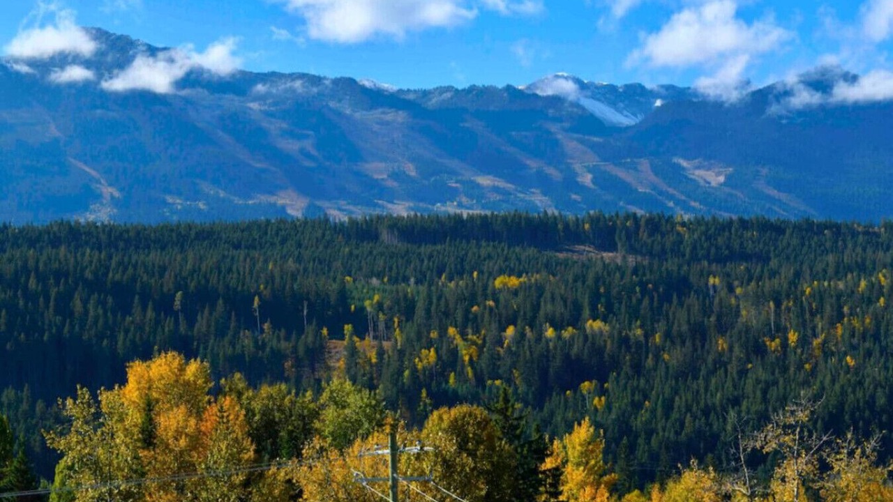 Photo of Others in Golden