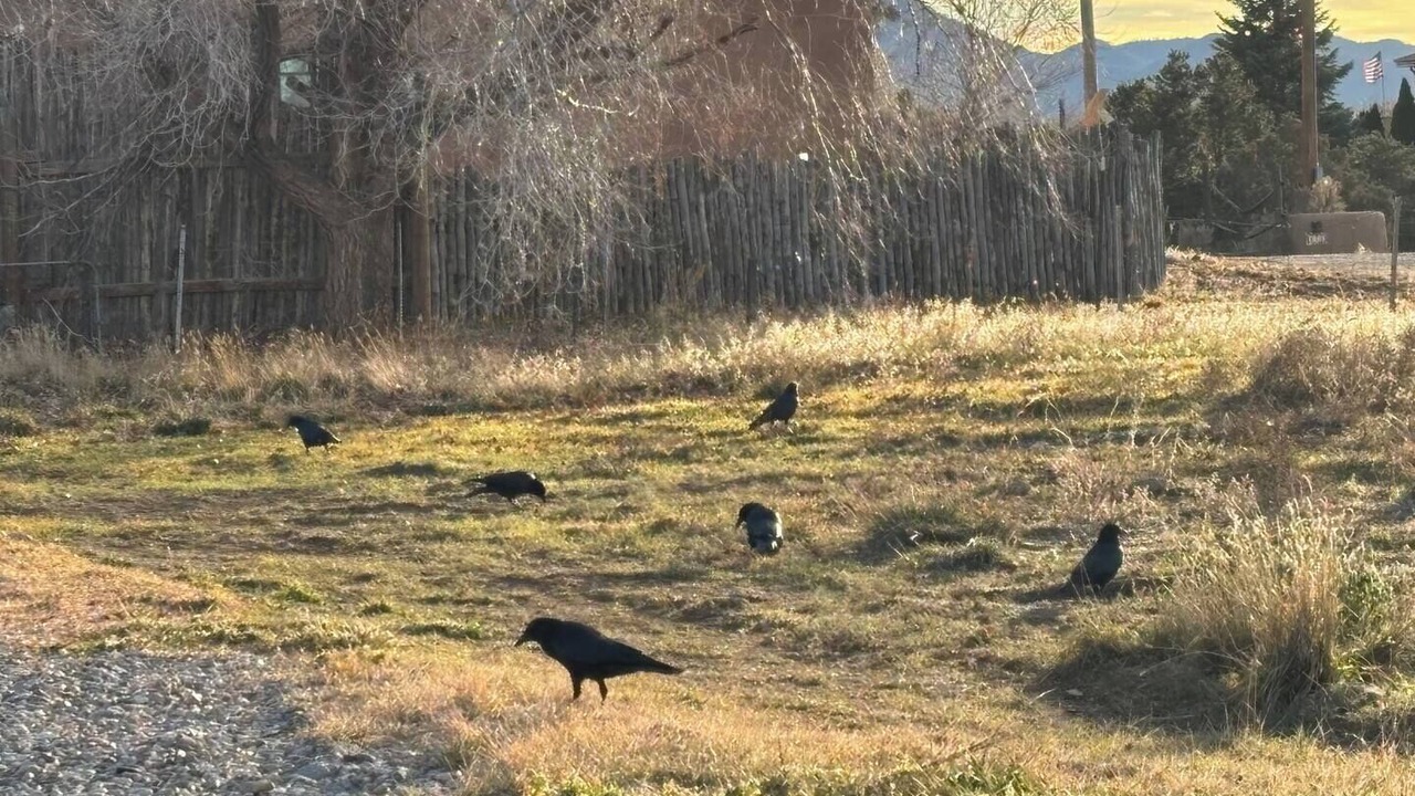 Photo of Others in Taos