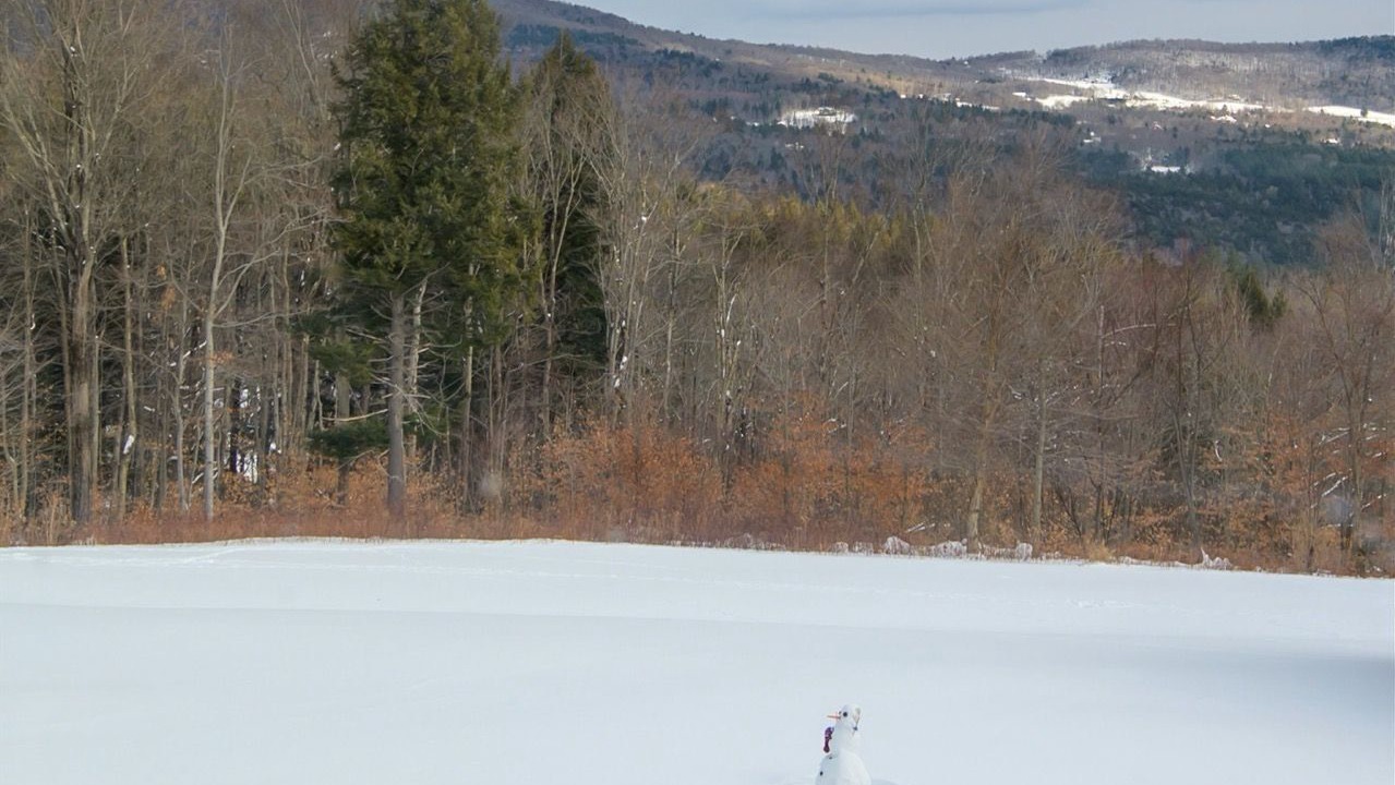 Photo of Others in Waitsfield