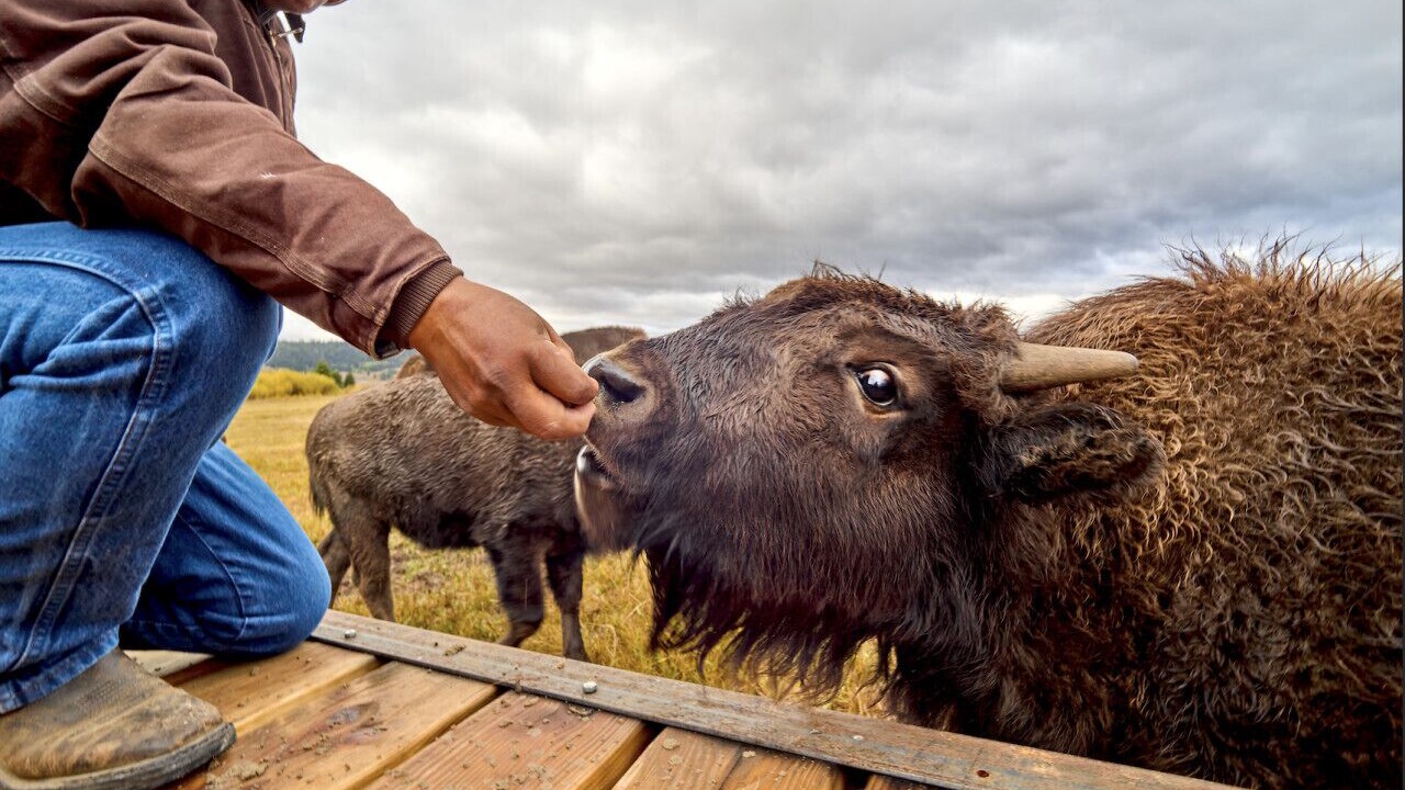 Photo of Others in Sublette County