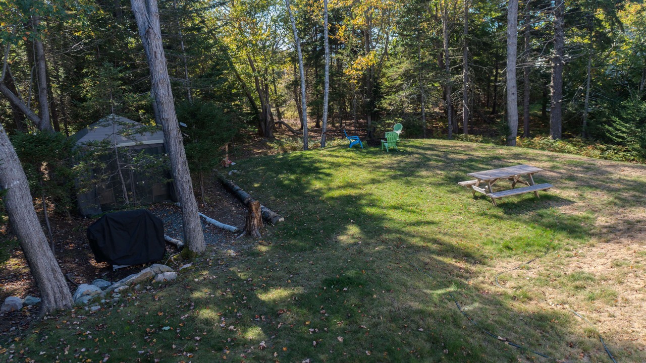 Photo of Outdoor in Bass Harbor