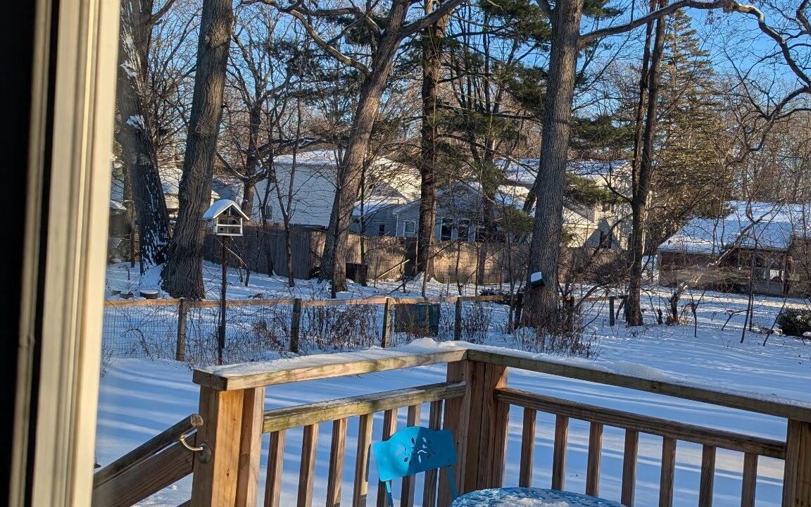 Photo of Outdoor in New North End