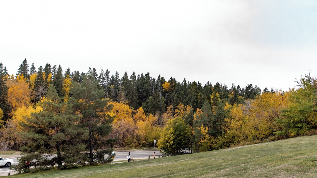 Photo of Others in Southeast Edmonton