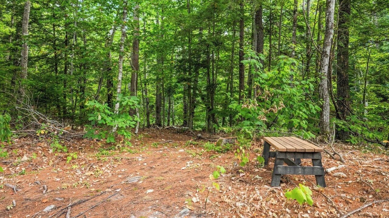 Photo of Outdoor in Birchview by the Saco