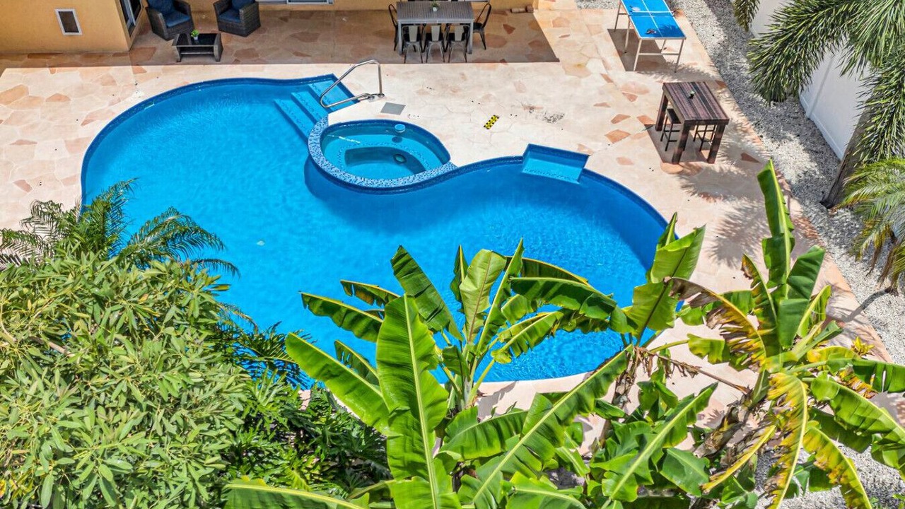 Photo of Outdoor in Tropic Palms