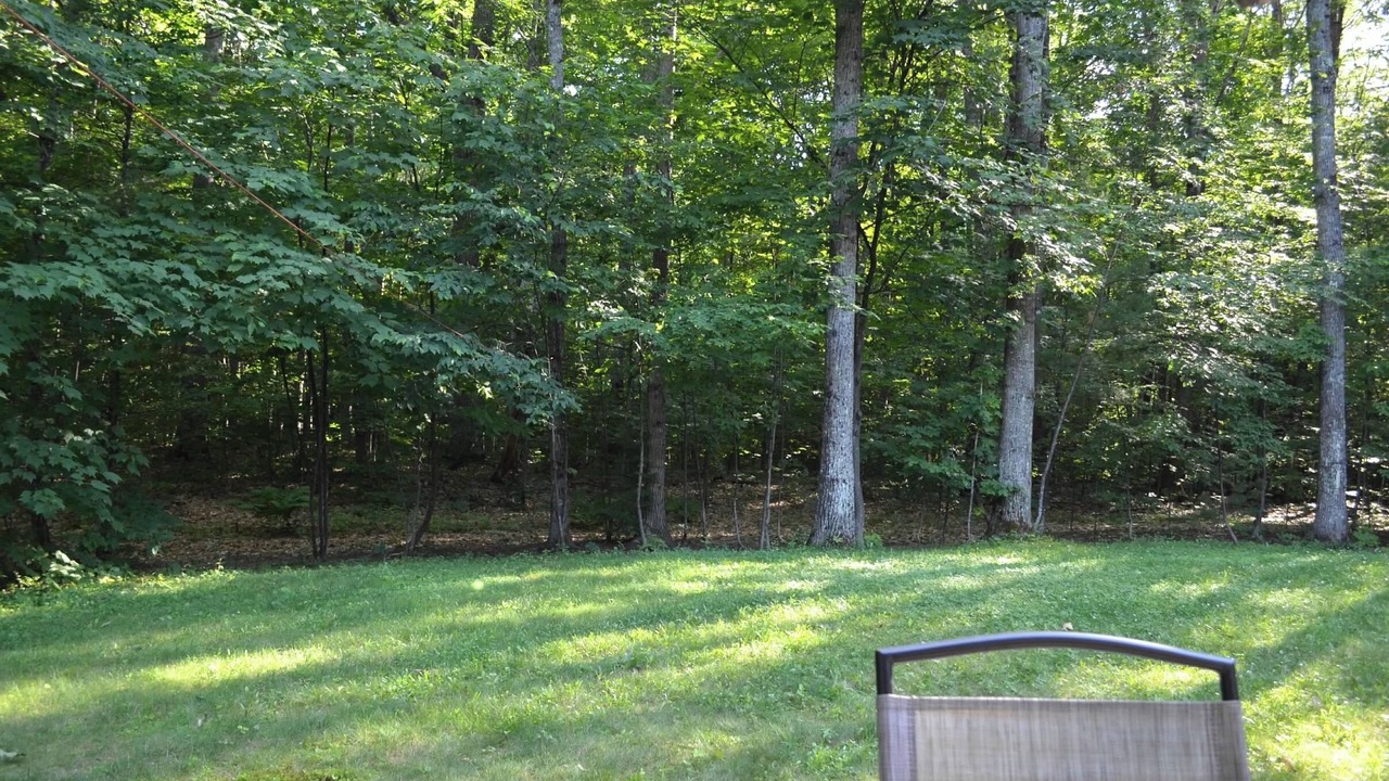 Photo of Outdoor in Bartlett