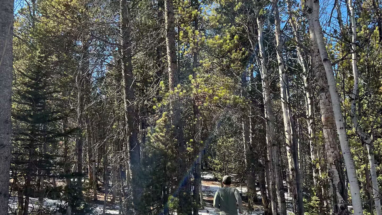Photo of Others in Warm Springs