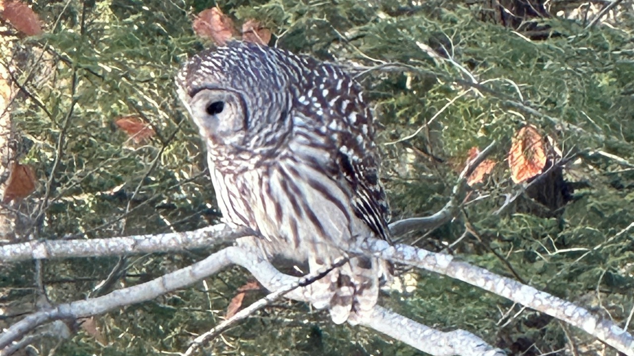 Photo of Others in Franklin