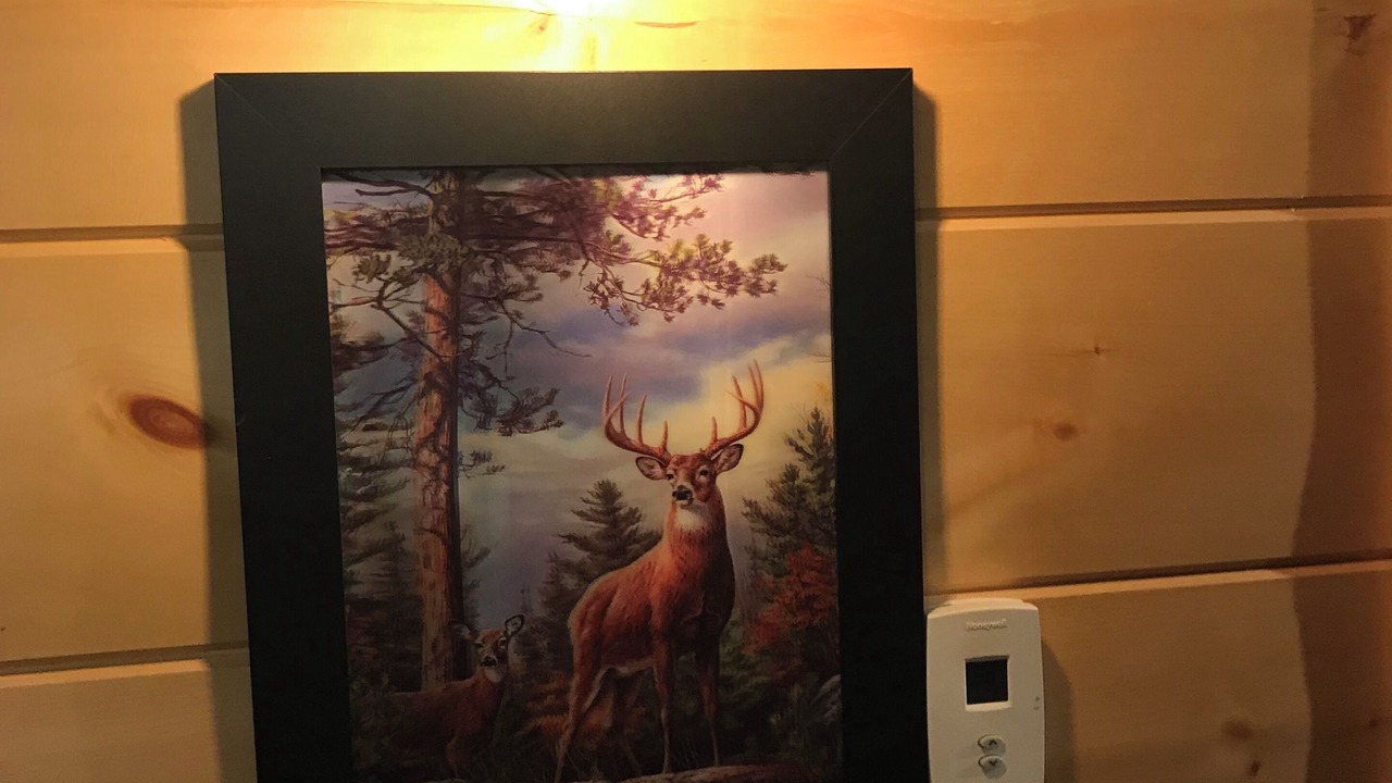 Photo of Others in Twin Mountain