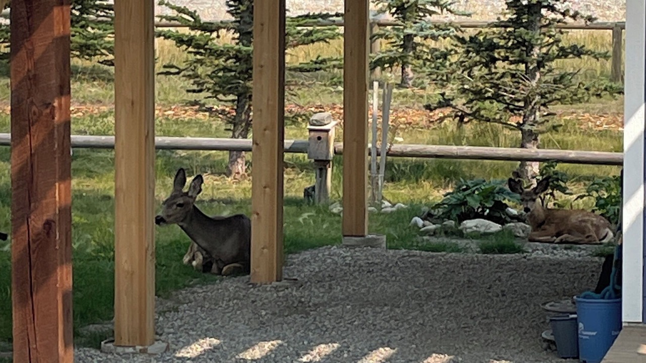 Photo of Outdoor in Ghost Lake
