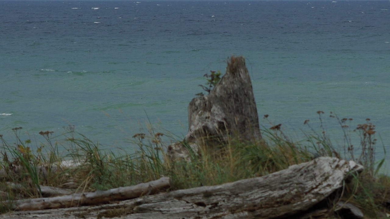 Photo of Others in Regional District of Nanaimo