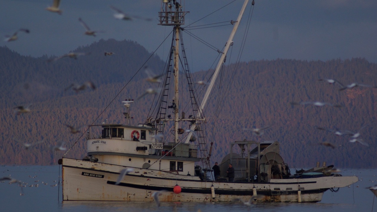 Photo of Others in Regional District of Nanaimo