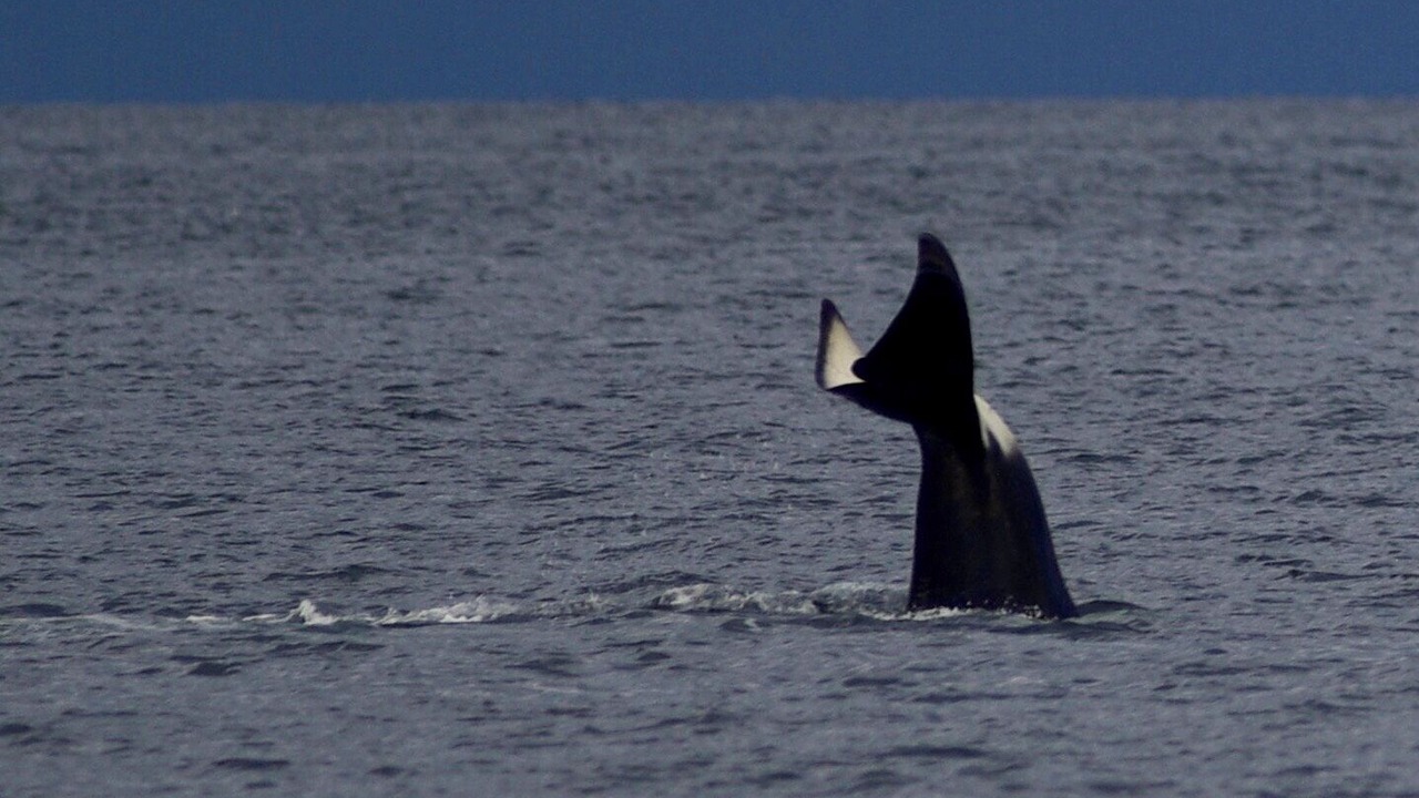 Photo of Others in Regional District of Nanaimo