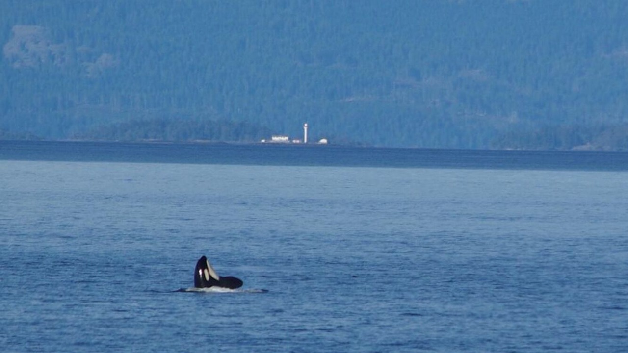 Photo of Others in Regional District of Nanaimo