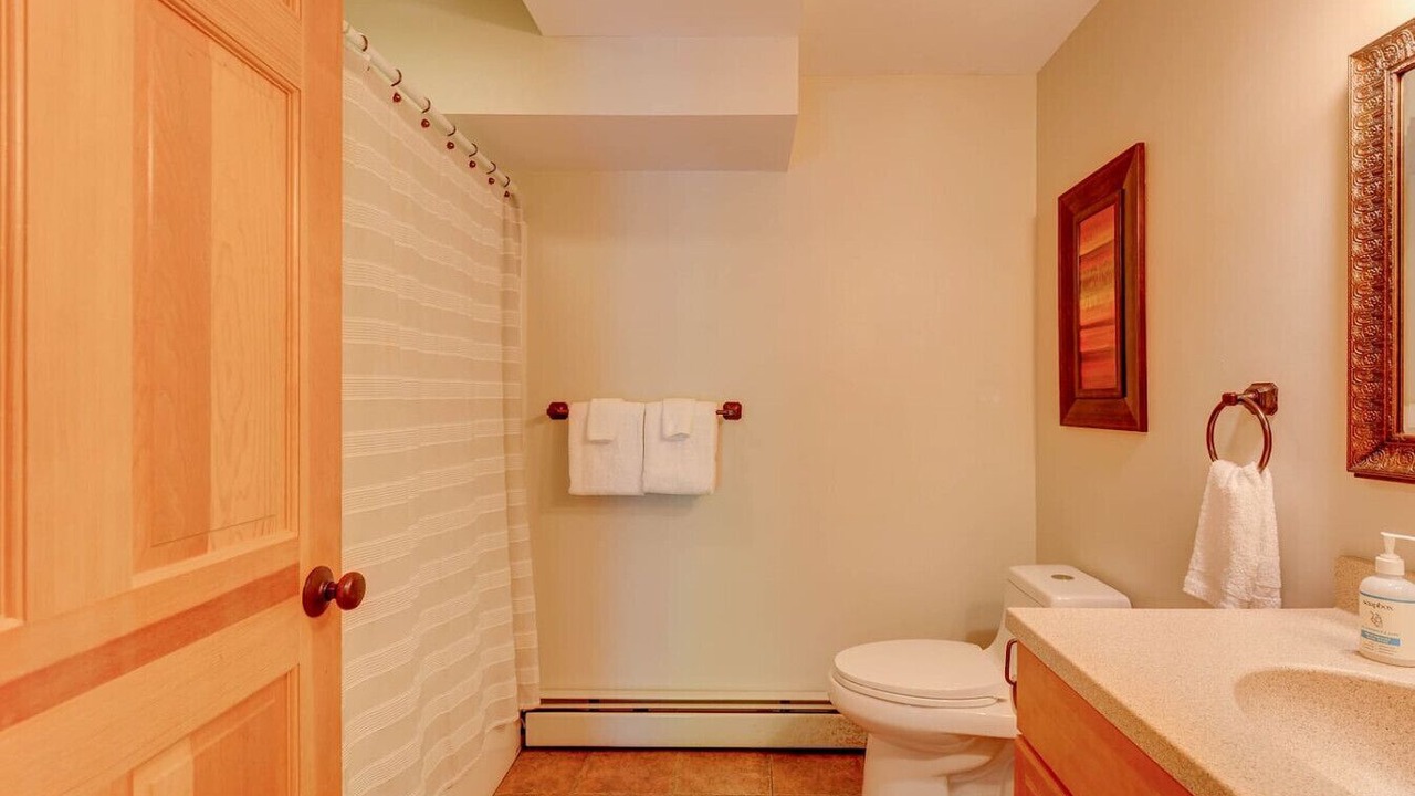 Photo of Bathroom in Bartlett