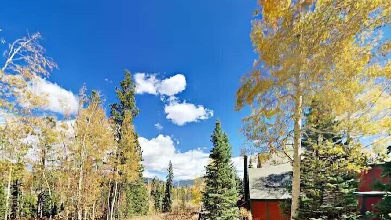 Photo of Outdoor in Wildernest