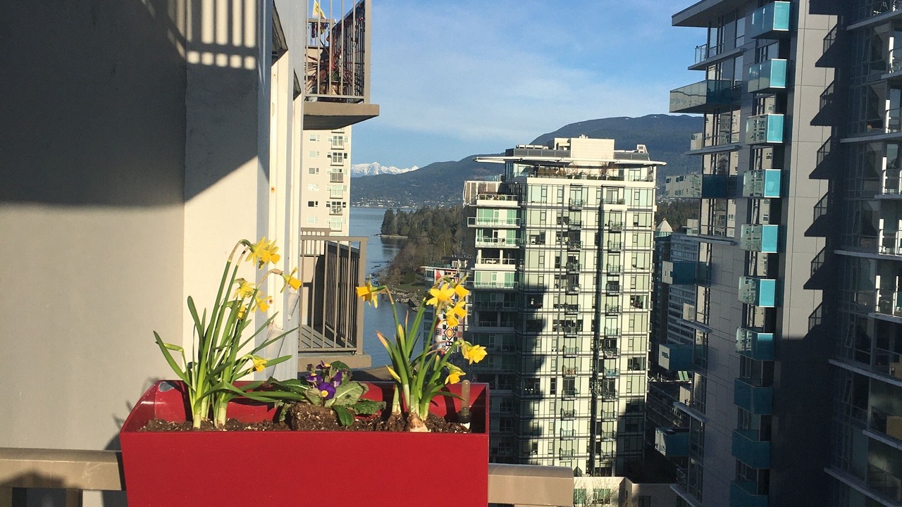 Photo of Outdoor in West End