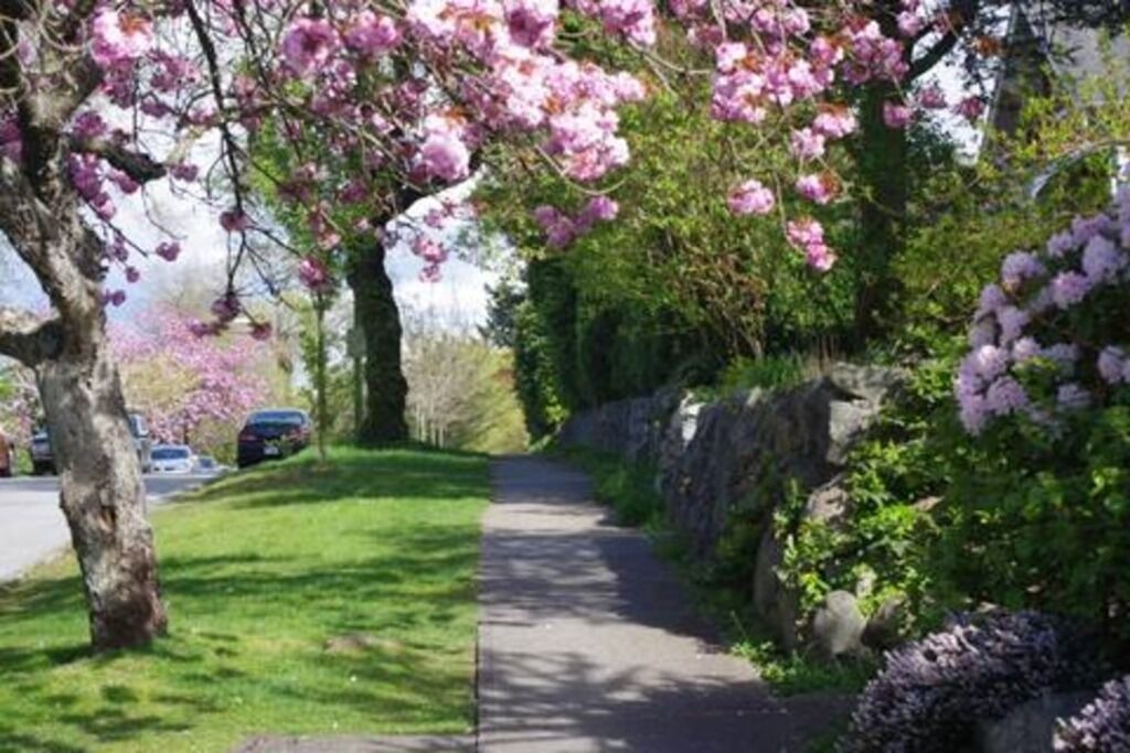 Photo of Outdoor in West Point Grey