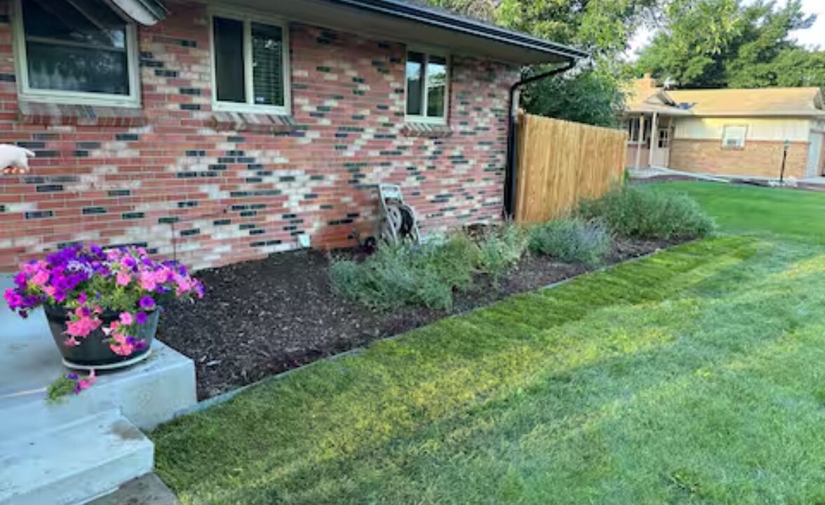 Photo of Outdoor in Littleton