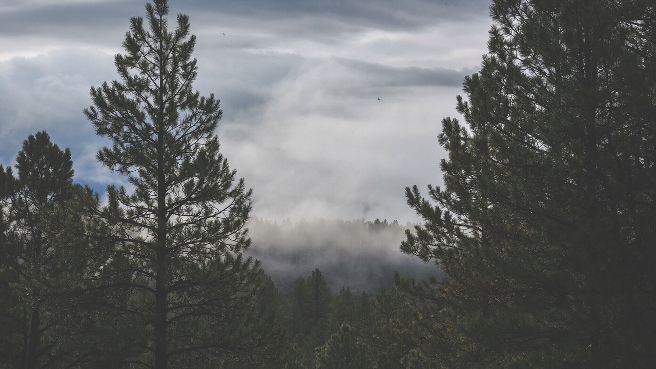 Photo of Outdoor in Pagosa Springs
