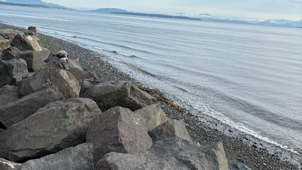 Photo of Others in Campbell River