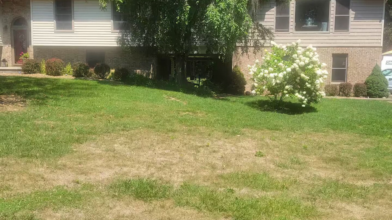 Photo of Outdoor in Homerville