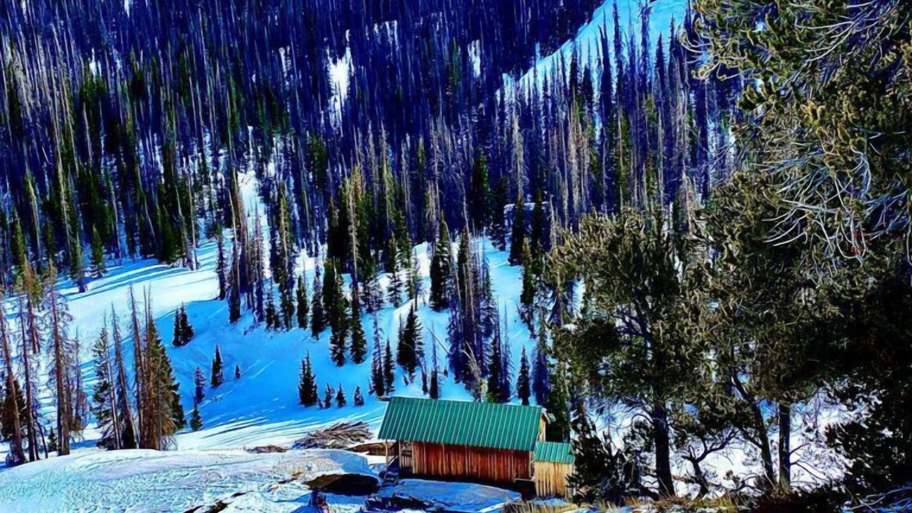 Photo of Others in Conejos County
