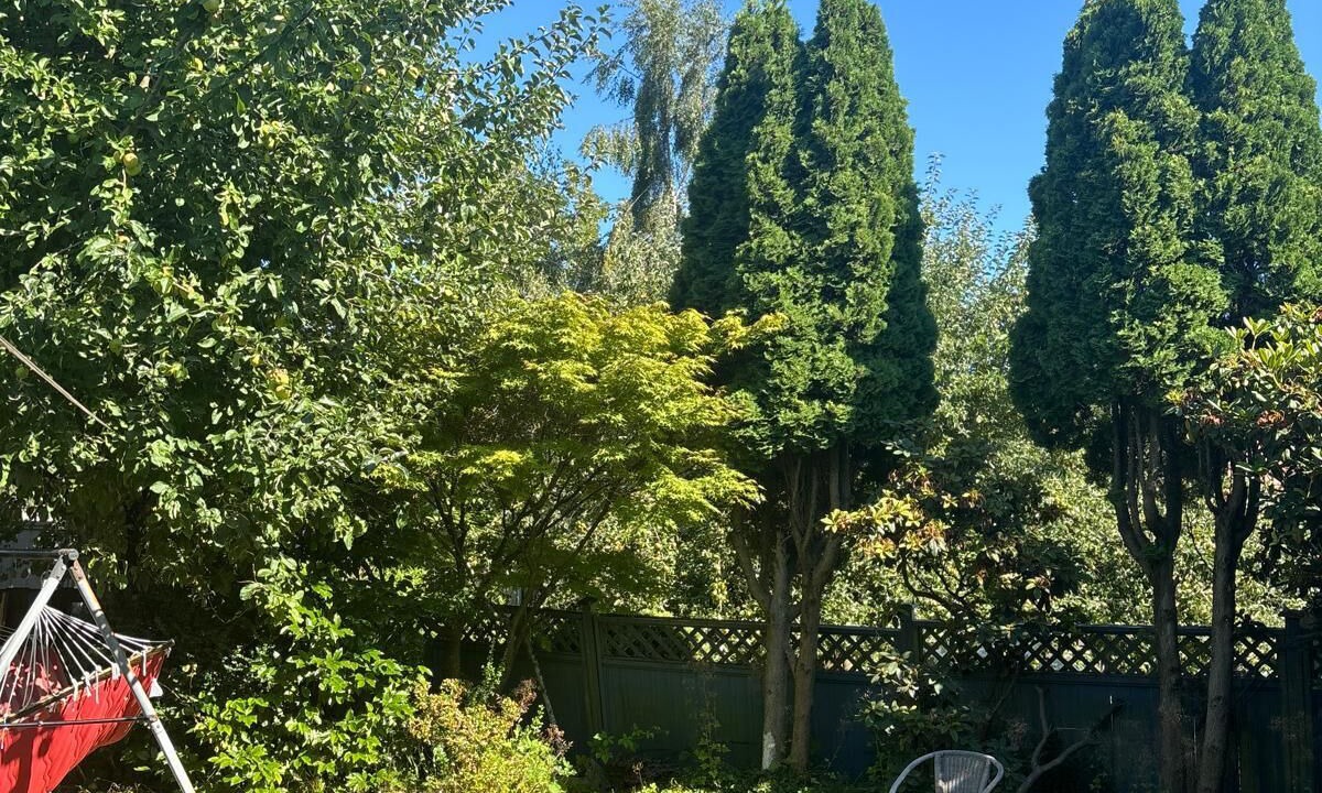 Photo of Outdoor in Richmond