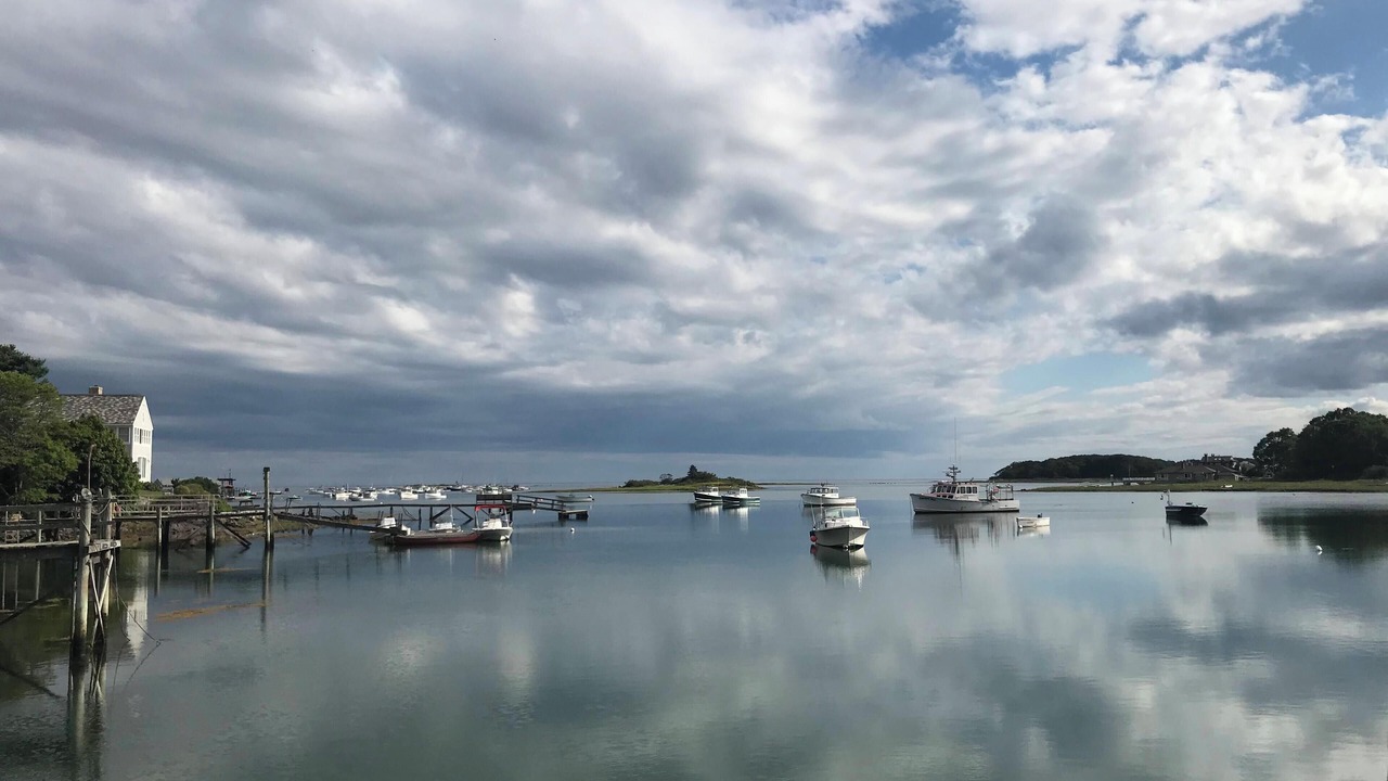 Photo of Others in Cape Porpoise