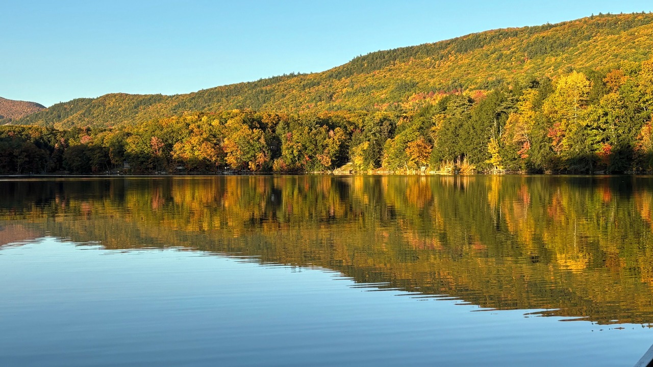 Photo of Others in Forest Dale