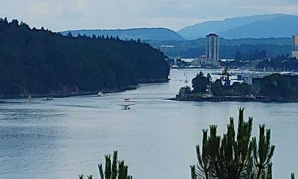Photo of Others in Departure Bay